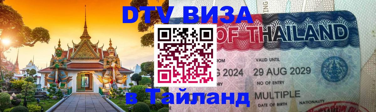Оформление DTV визы под ключ: стоимость и тарифы, только загранпаспорт - 
